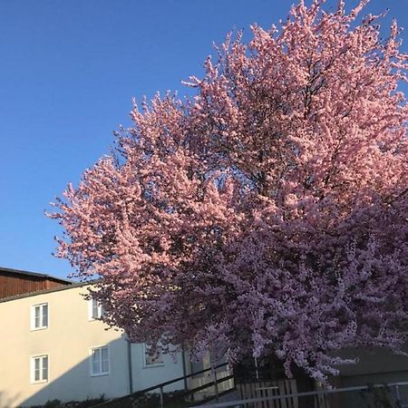 Landpension Gschwantner Lengenfeld Luaran gambar